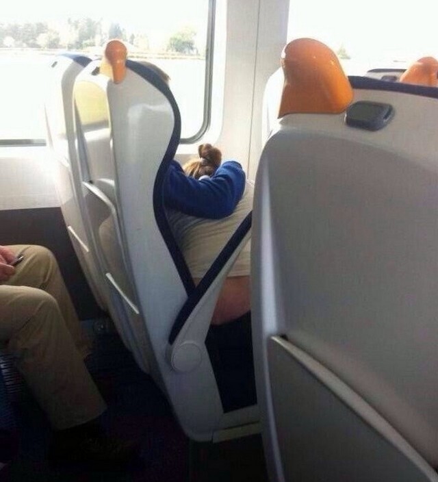 Любовь нечаянно нагрянет