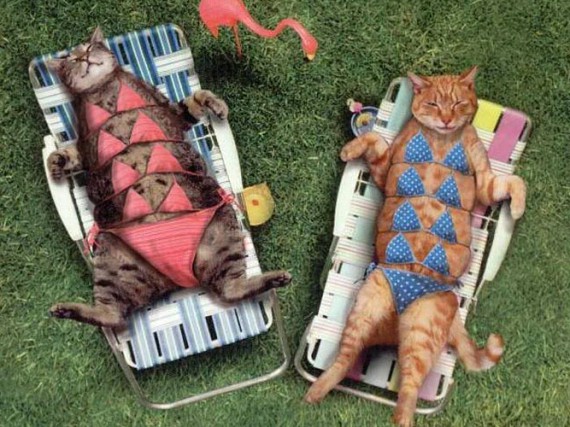 Пляжный сезон не за горами