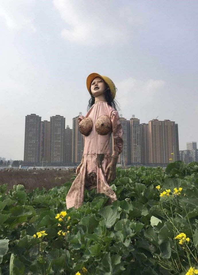 Из потасканной резиновой бабы получается отличное пугало