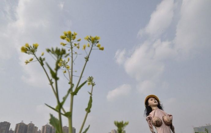 Из потасканной резиновой бабы получается отличное пугало