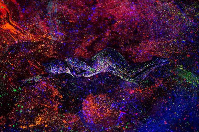 Найди обнаженных моделей в каплях флуоресцентной краски