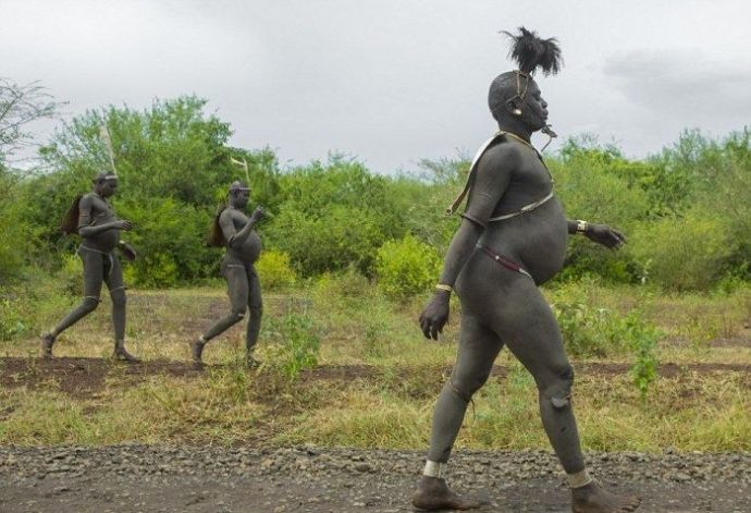 Пузатые красавцы эфиопского племени