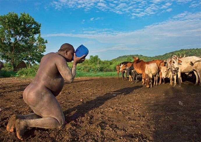 Пузатые красавцы эфиопского племени