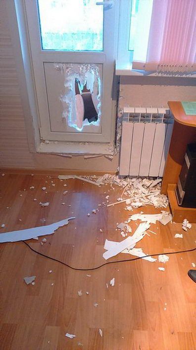 Кобеля, чующего суку с течкой, ничего не может остановить