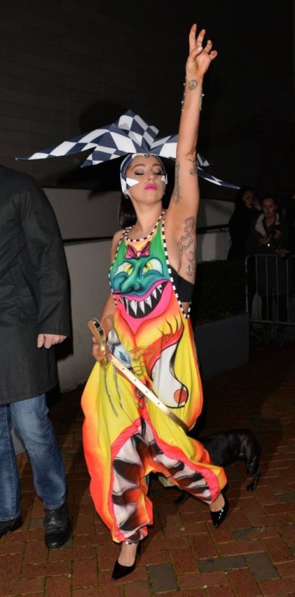 РАЗНООБРАЗНАЯ ЛЕДИ ГАГА