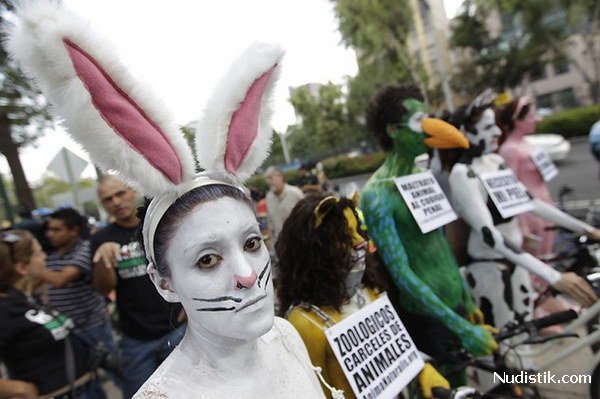 Голый заезд на велосипедах Голый заезд на велосипедах