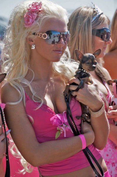 Ну очень тупые девушки