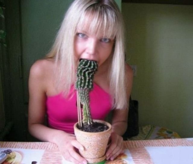 Ну очень тупые девушки