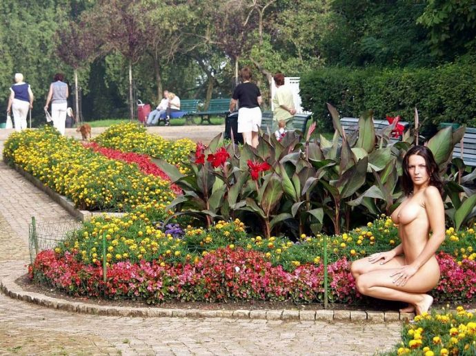 Эксгибиционистки: обнаженные девушки на улицах