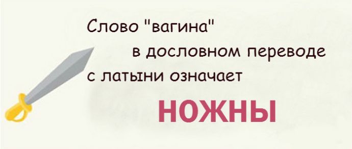 Все факты о женском влагалище