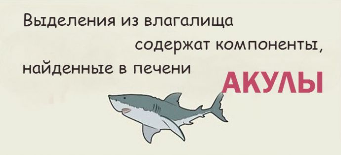 Все факты о женском влагалище