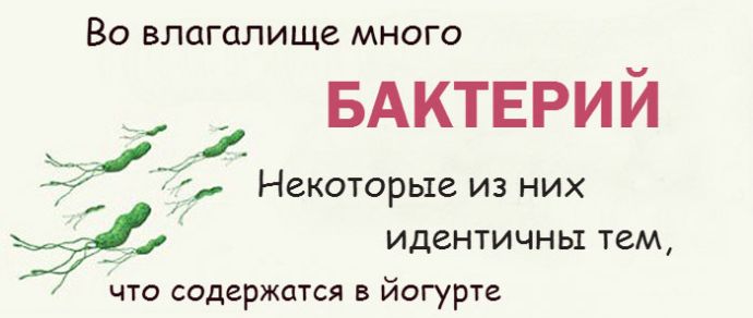 Все факты о женском влагалище