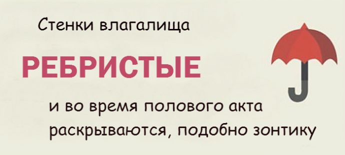 Все факты о женском влагалище
