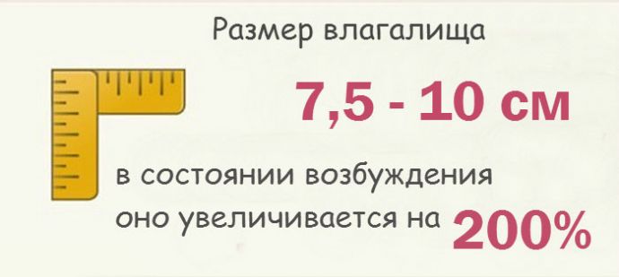Все факты о женском влагалище