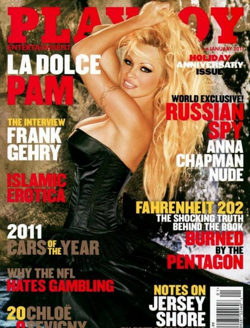 15 звезд, снявшихся для обложки журнала Playboy