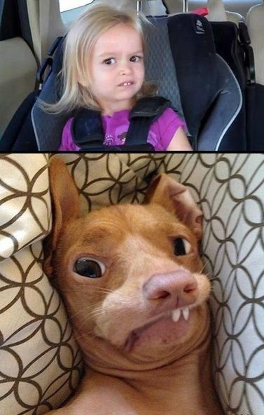 Картинки для поднятия настроения