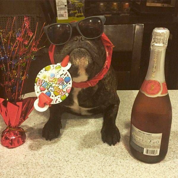 Картинки для поднятия настроения