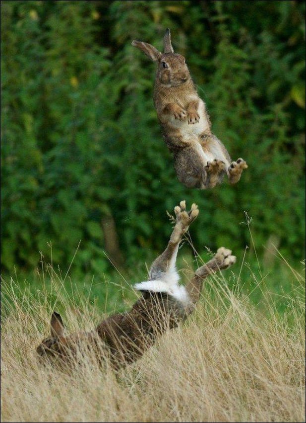 Картинки для поднятия настроения