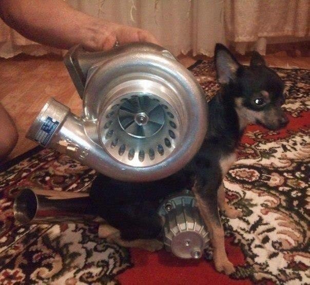 Картинки для поднятия настроения