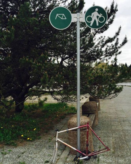 Картинки для поднятия настроения