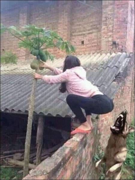 Картинки для поднятия настроения