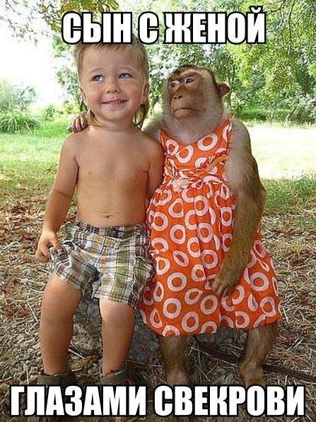 Картинки для поднятия настроения