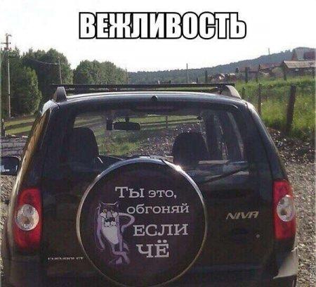 Картинки для поднятия настроения