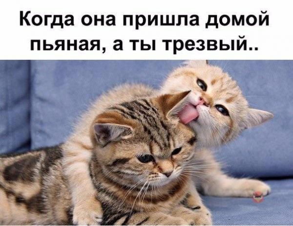 Картинки для поднятия настроения