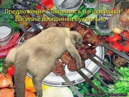 Картинки для поднятия настроения