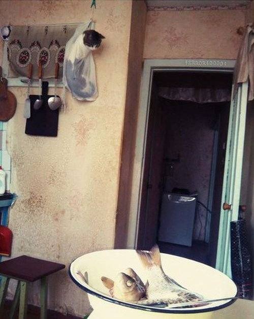 Картинки для поднятия настроения