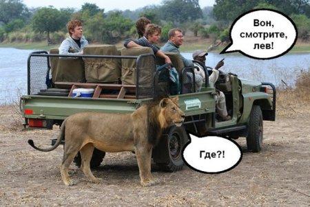 Картинки для поднятия настроения