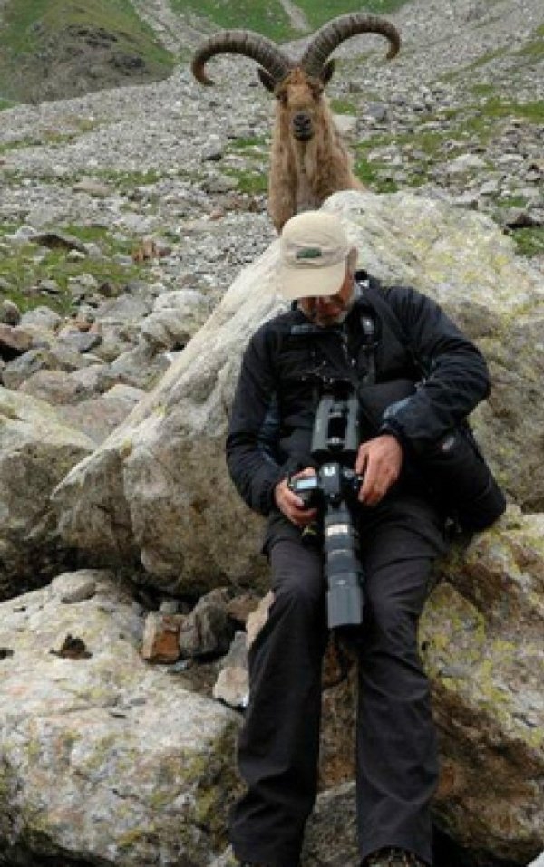 Картинки для поднятия настроения