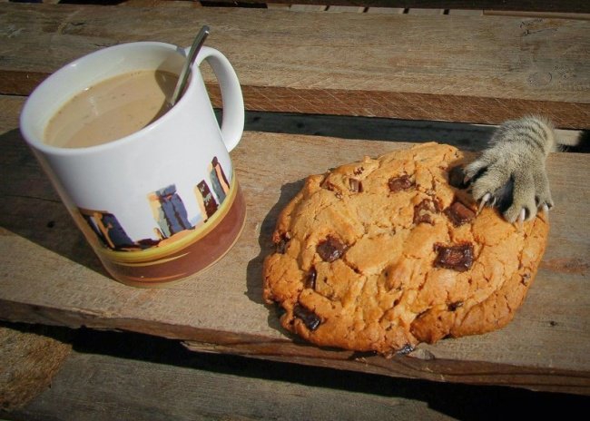 Картинки для поднятия настроения