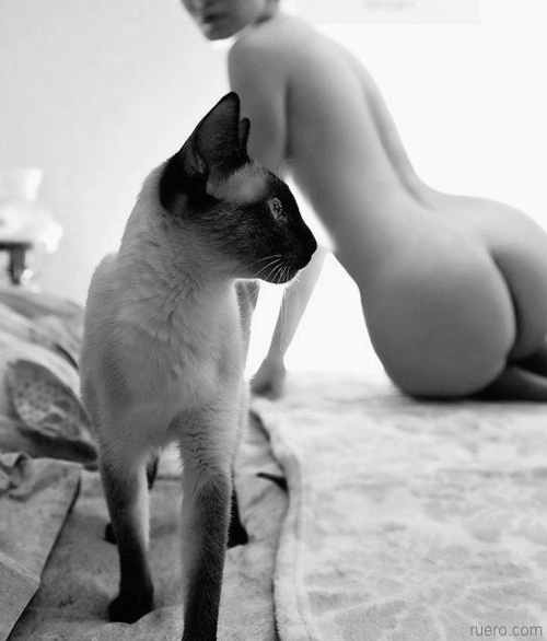Коты и девушки