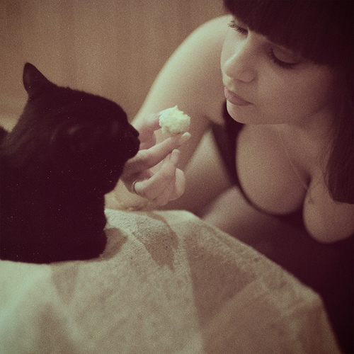 Коты и девушки