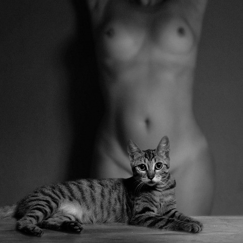 Коты и девушки