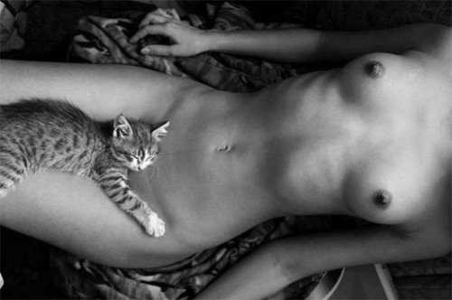 Коты и девушки