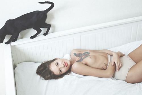 Коты и девушки