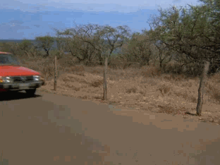 Просто Эроприколы