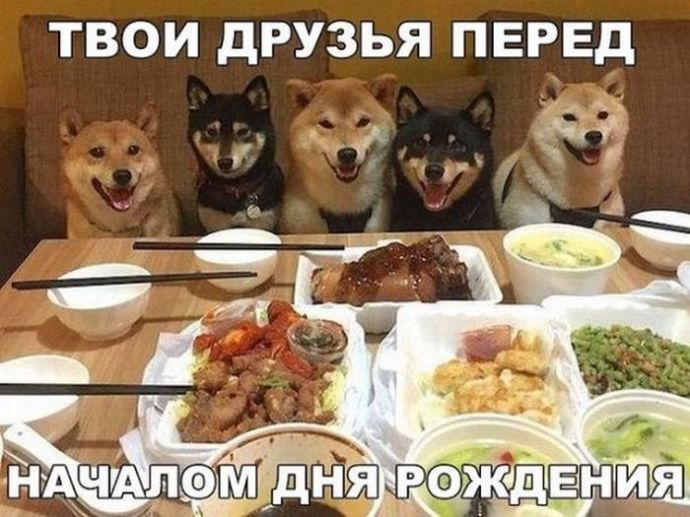 Картинки для поднятия настроения