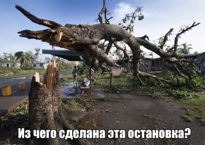 Картинки для поднятия настроения