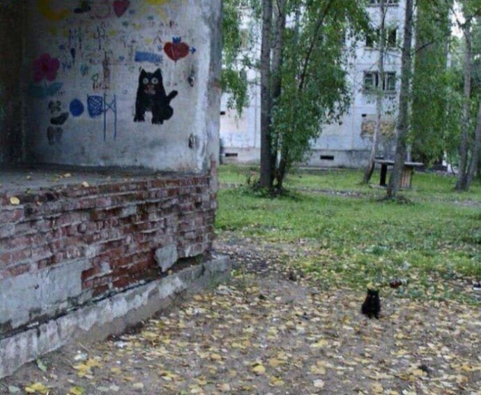 Картинки для поднятия настроения