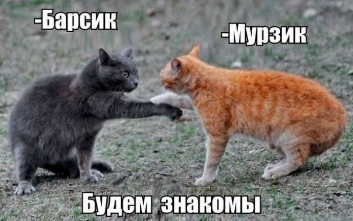 Картинки для поднятия настроения