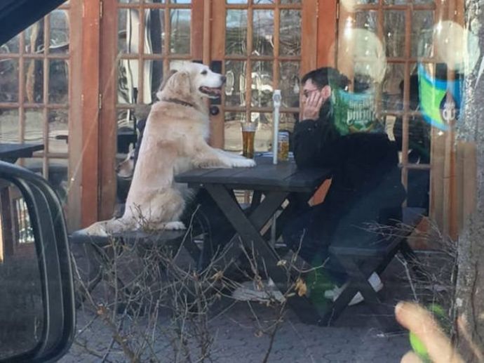 Картинки для поднятия настроения