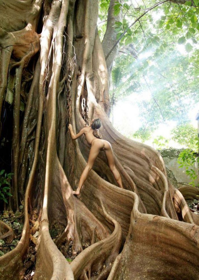 Самотык в лицо звезде - Эроприколы