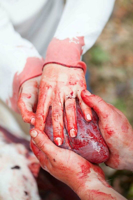 Романтическая обручальная фотосессия озабоченных Романтическая обручальная фотосессия озабоченных