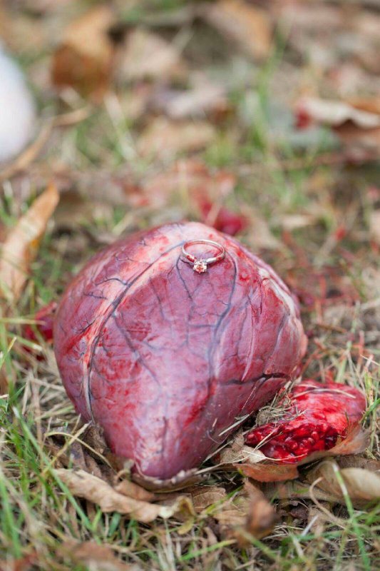 Романтическая обручальная фотосессия озабоченных Романтическая обручальная фотосессия озабоченных