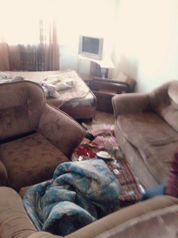 Как студенты могут усрать квартиру за сутки