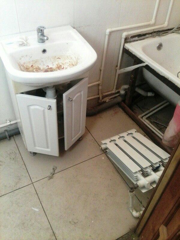 Как студенты могут усрать квартиру за сутки