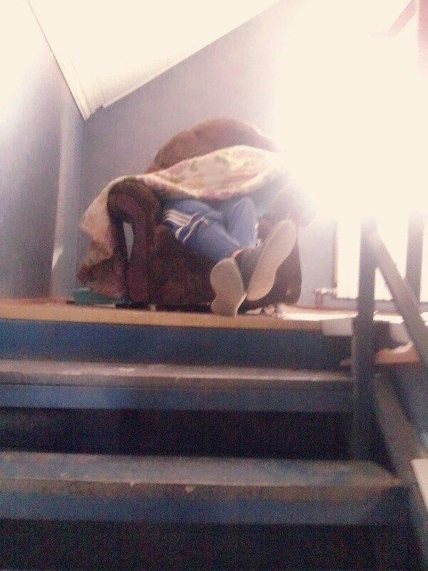 Как студенты могут усрать квартиру за сутки